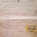 Immagine WhatsApp 2024-12-31 ore 14.57.45_4ff61254