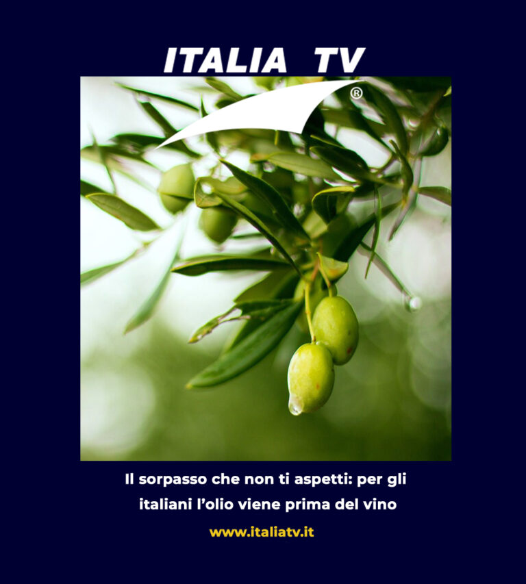 ITALIA TV. Il sorpasso che non ti aspetti: per gli italiani l’olio viene prima del vino