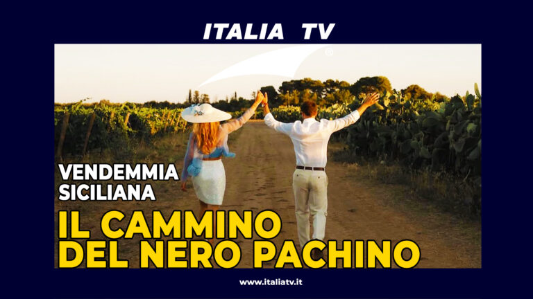 ITALIA TV. Vendemmia e Sicilia. Il Cammino del Nero Pachino