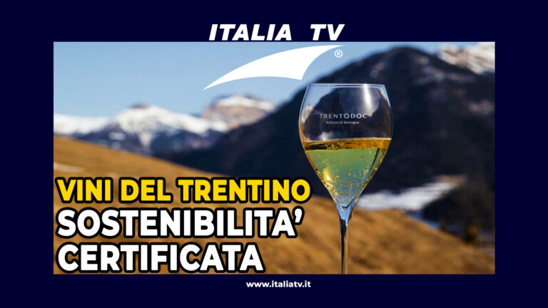 ITALIA TV. Vini del Trentino: “La sostenibilità certificata è essenziale”